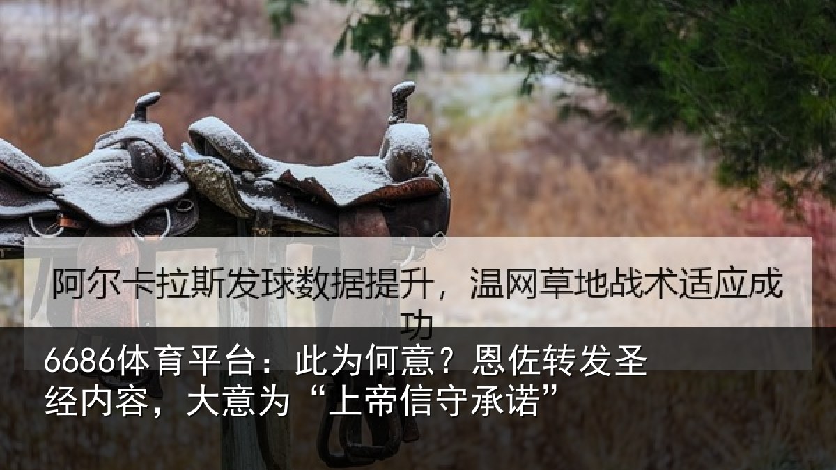 6686体育平台：此为何意？恩佐转发圣经内容，大意为“上帝信守承诺”